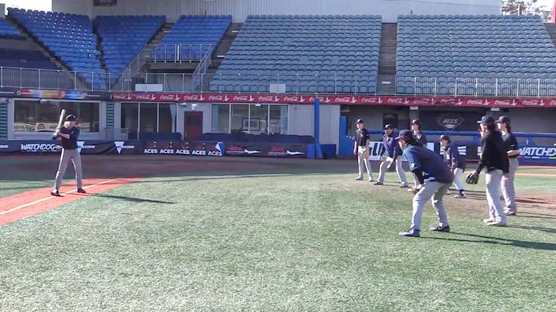 pepper game in baseball