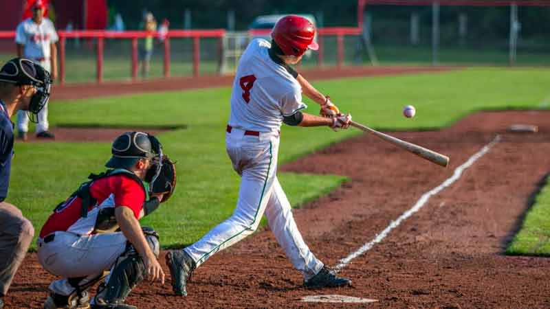 The Basics of Baseball Bat Numbers