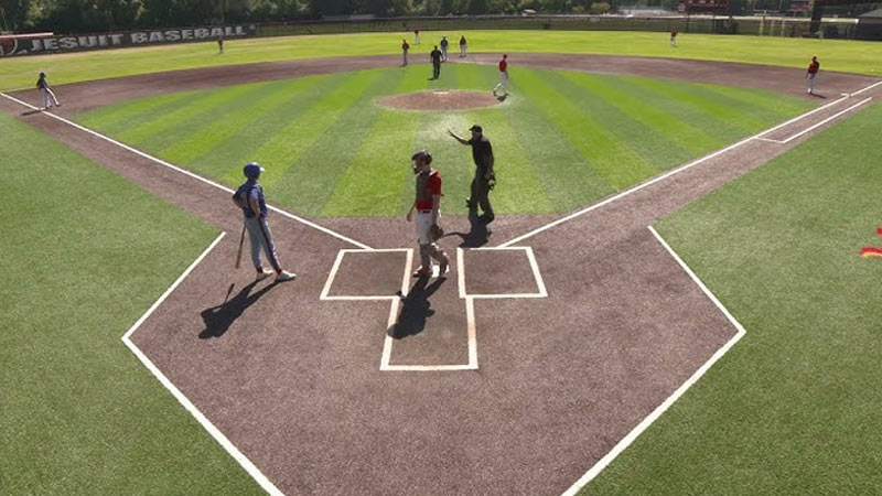 Little League Slash Bunt Rule