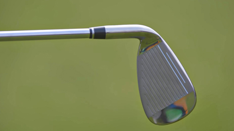 Customization Options with Lynx Golf Clubs