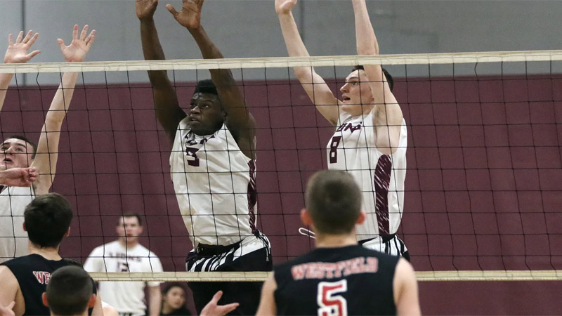 Reach Over The Net In Volleyball