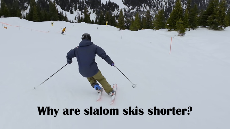 Why are slalom skis shorter?