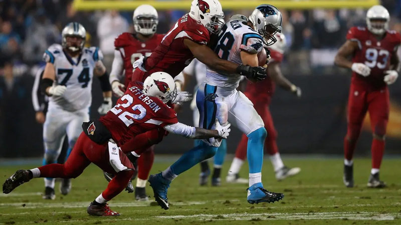 Does any NFL stadium have real grass?