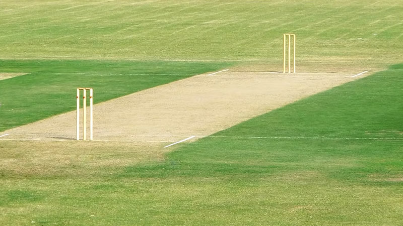 Cricket Requires More Practice