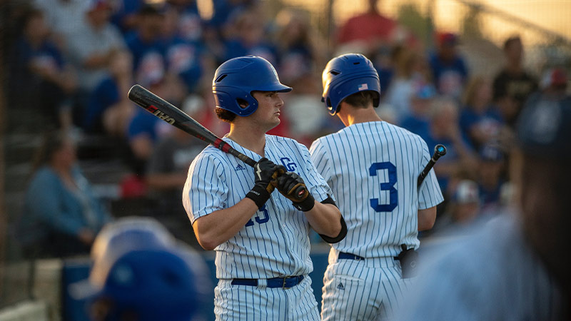 Do MLB players use ash or maple bats