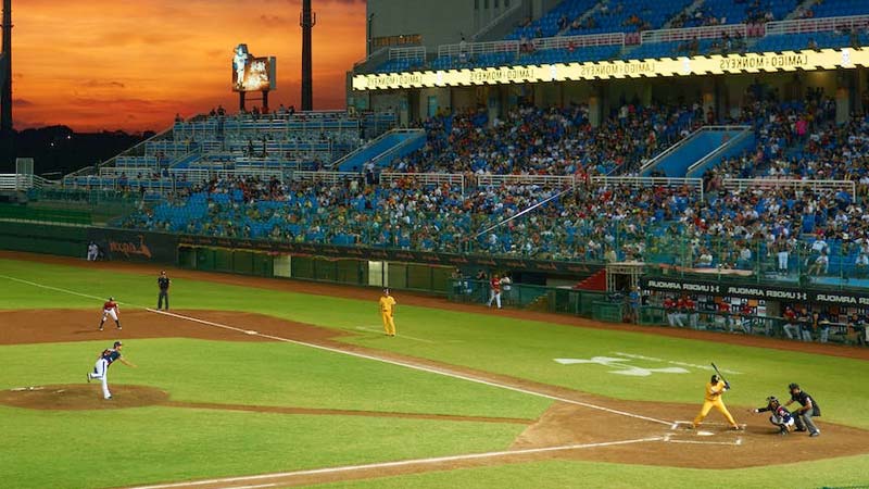 Foul Lines and Foul Territory