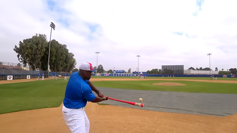 Fungo In Baseball