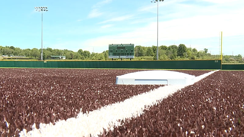 How Much Does It Cost To Turf A Baseball Field Metro League how-much-does-it-cost-to-build-a-turf-field-builders-villa