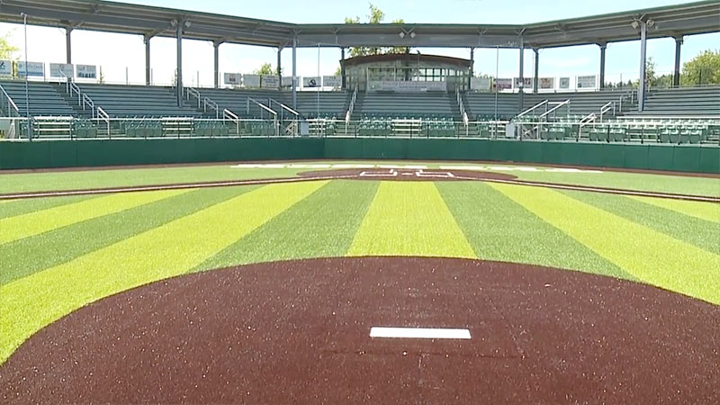 Why does turf cost so much?
