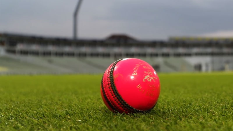 Pink Cricket Ball