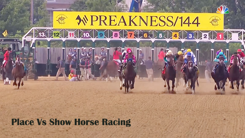 Place Vs Show Horse Racing
