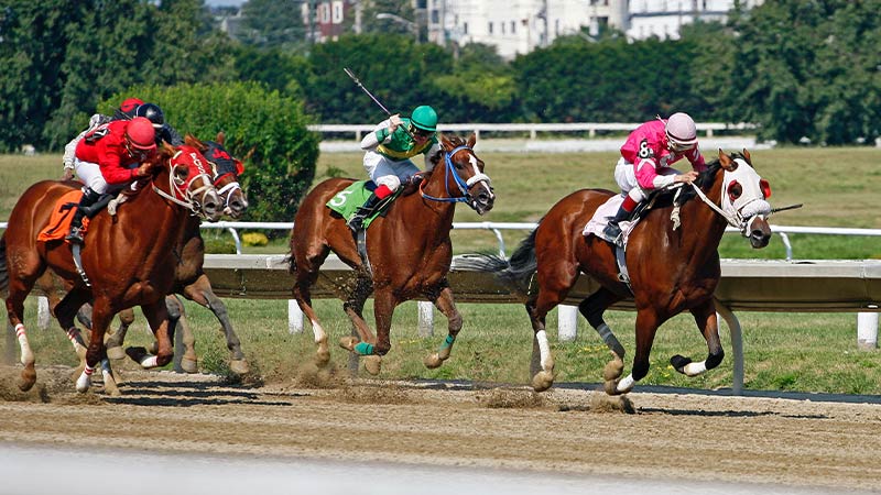 What Does It Mean To Place In Horse Racing