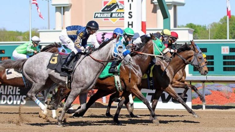 What Is Place In Horse Racing? - Metro League
