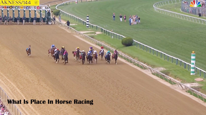 What Is Place In Horse Racing