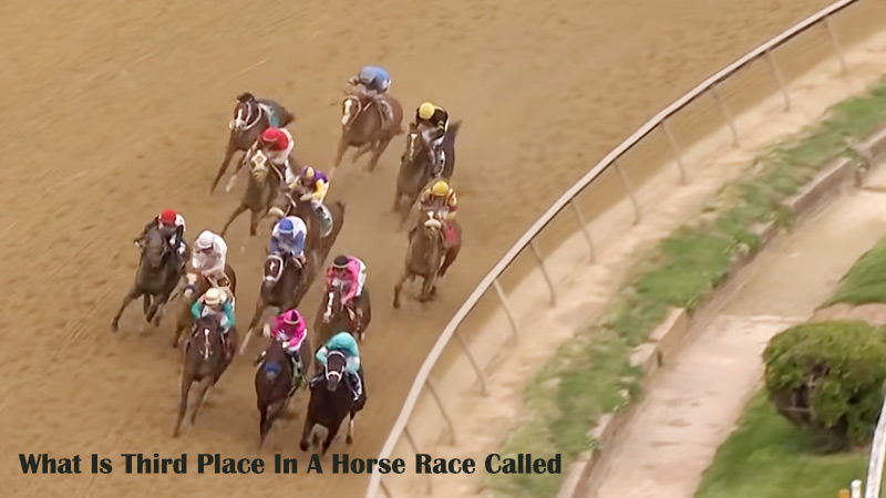 What Is Third Place In A Horse Race Called