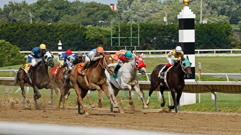 What does Placed mean in horse racing