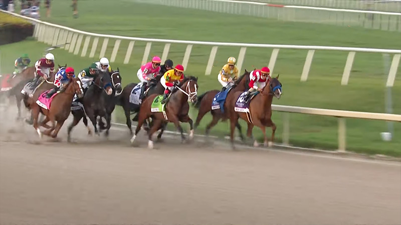 Why Do Horse Races Run Counterclockwise