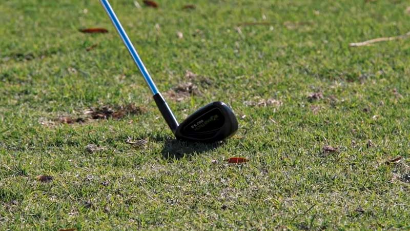Factors to Consider While  Selecting the Right Clubs