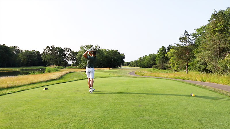 An Eagle In Golf Terms