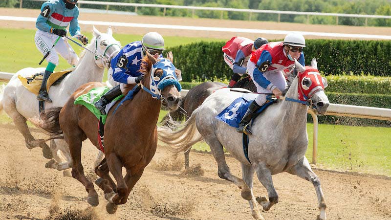 Double Bet In Horse Racing
