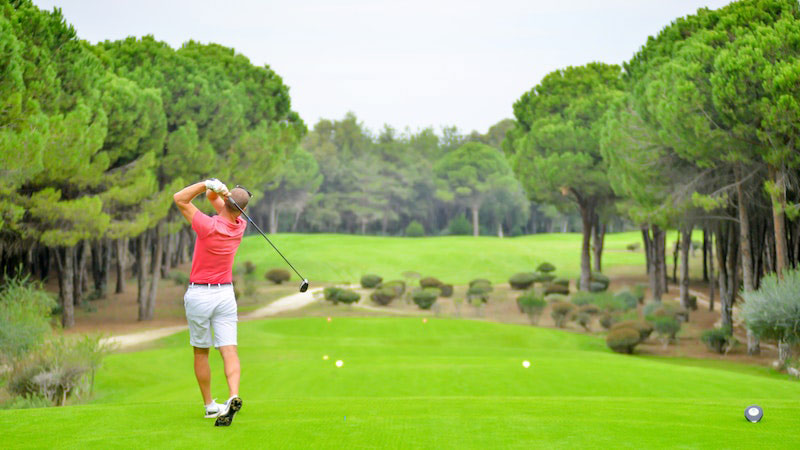 Golf Ball Fly Further In Humidity