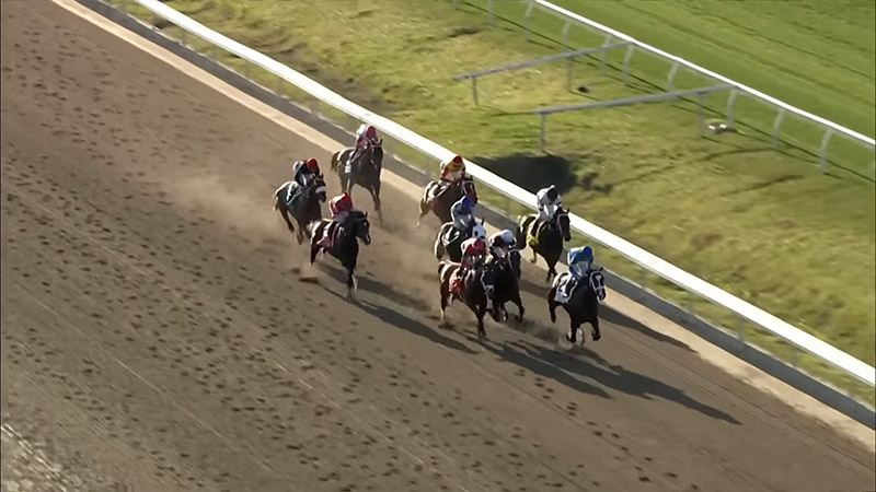 live racing at Louisiana Downs