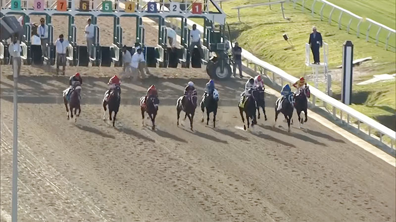 Live Racing At Louisiana Downs