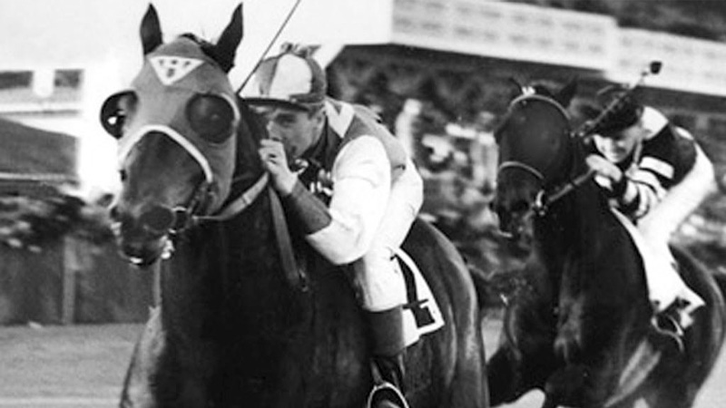 the race between Seabiscuit and War Admiral