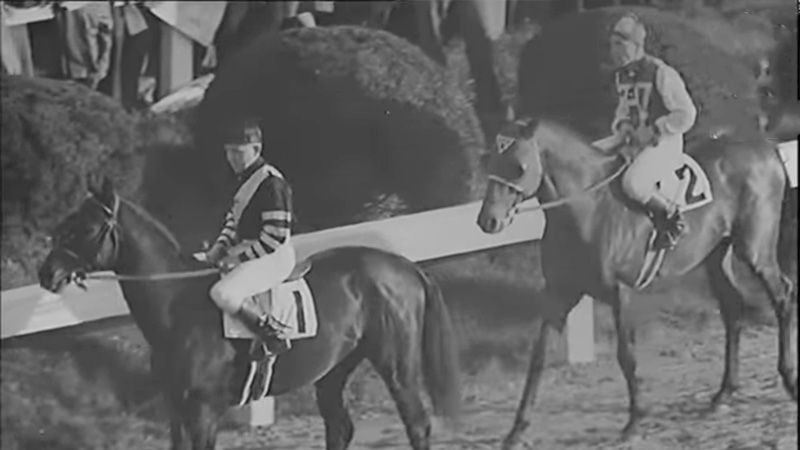 Seabiscuit bigger than War Admiral