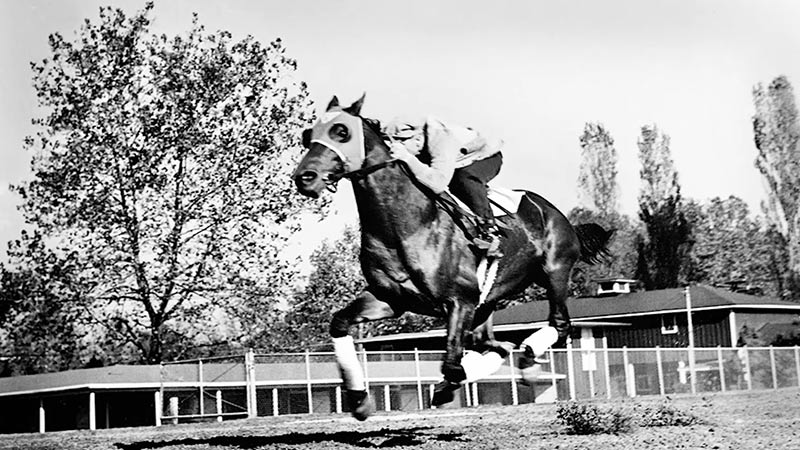 Seabiscuit's jockey name