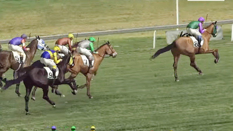 watch virtual horse racing