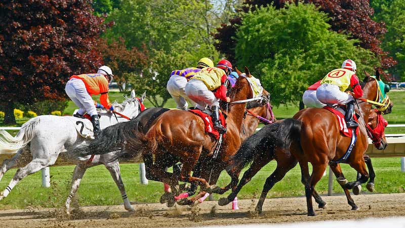 Wps Mean In Horse Racing