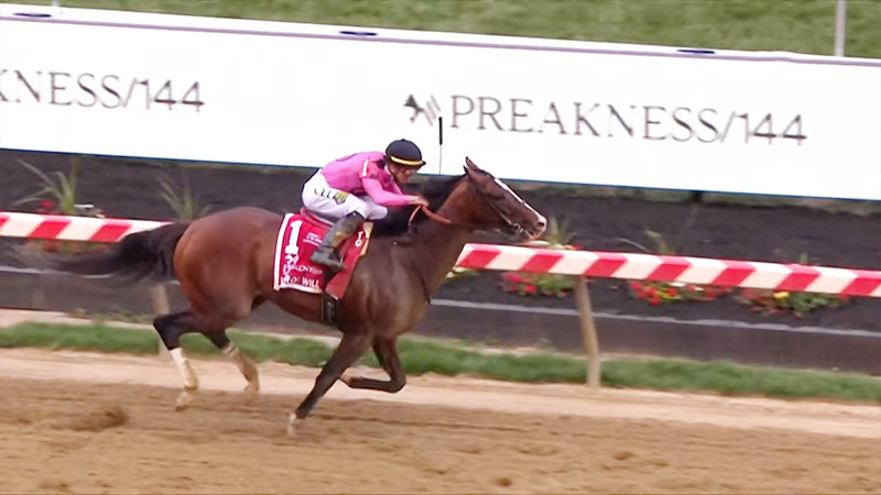Rich Strike Pull Out Of Preakness