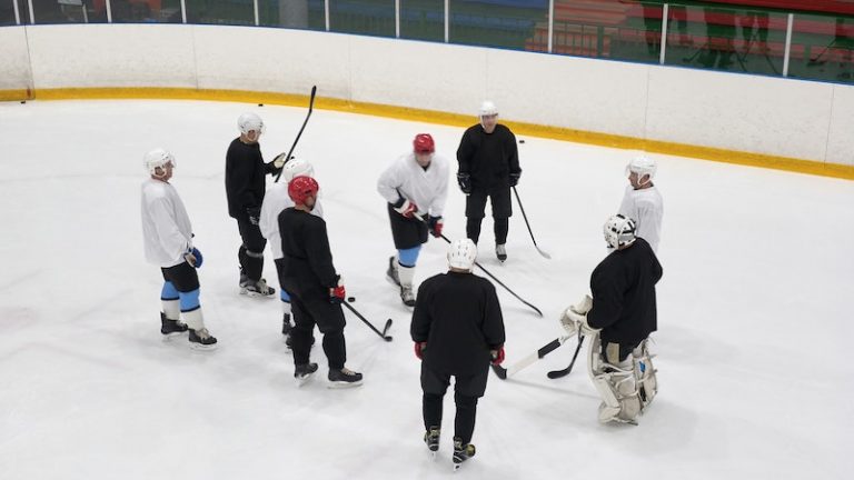 What Does Pts Mean In Hockey Metro League what-does-pts-mean-in-hockey-metro-league