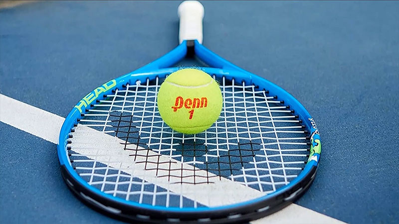 Are Tennis Racket Strings Made Of Cat Guts