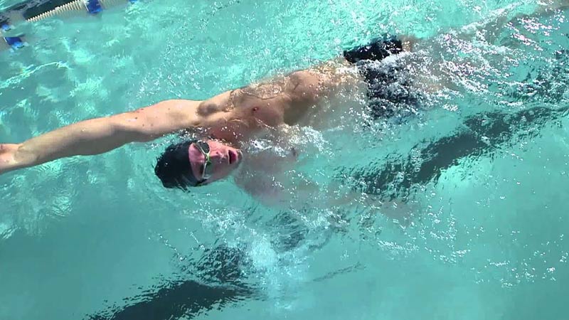 Backstroke Swimming Use Biceps Or Triceps