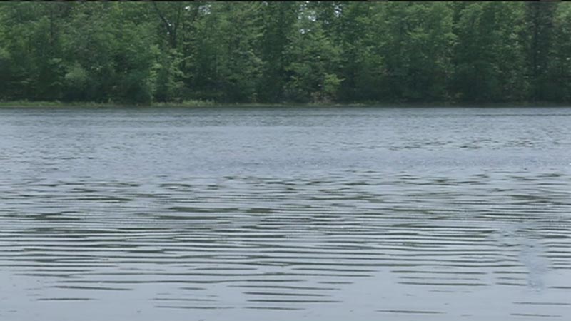 Dangers of Swimming in a Pond