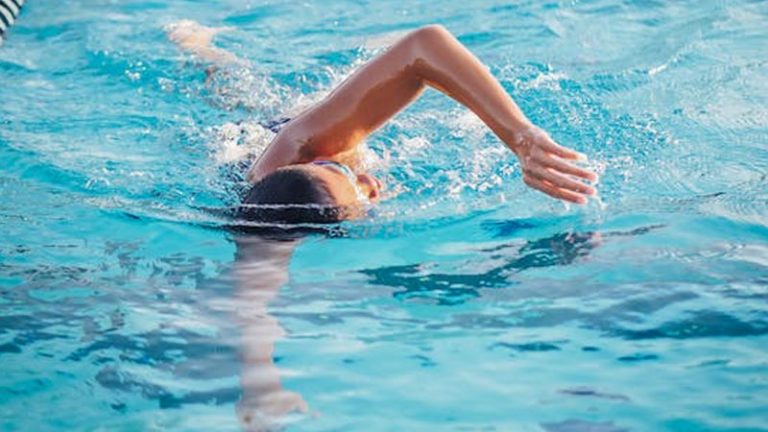 crawl movie premiere