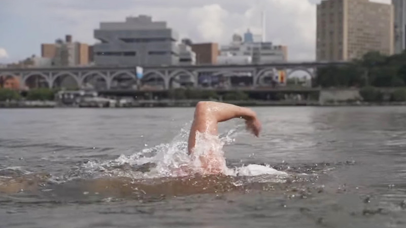 Water Quality in Hudson River