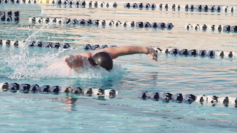 Swimming A Full Body Exercise