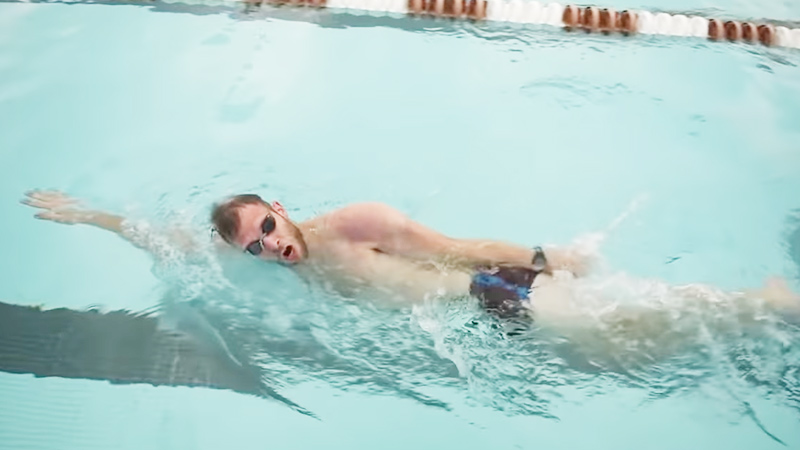 Swimming A Full Body Workout
