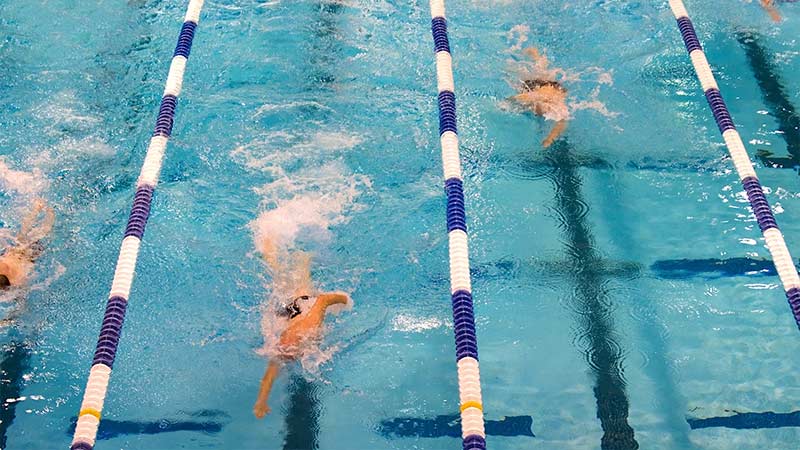 Lap In A Swimming Pool