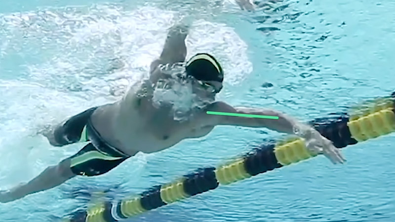 Legs Or Arms More Important In Swimming