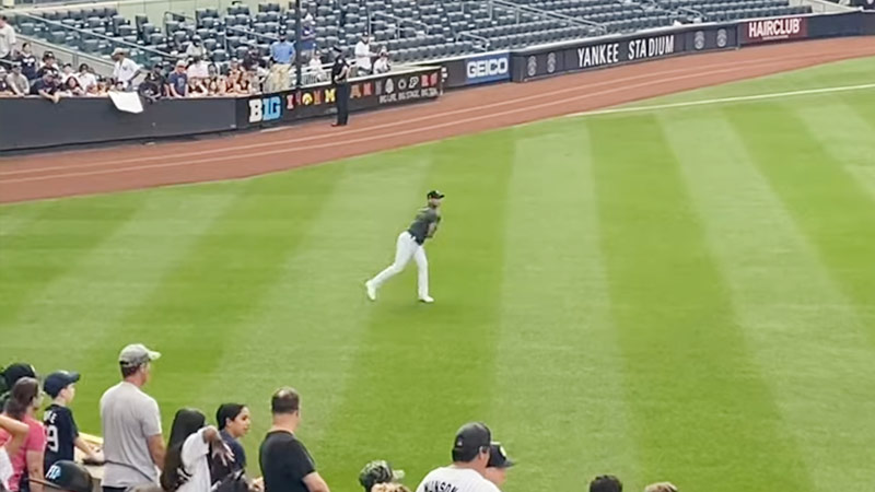 Long Toss In Baseball