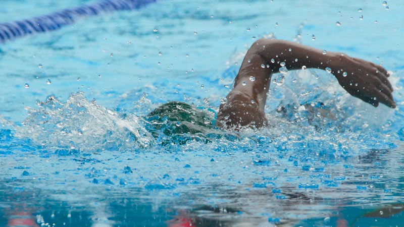 Muscles Used in Swimming Front Crawl