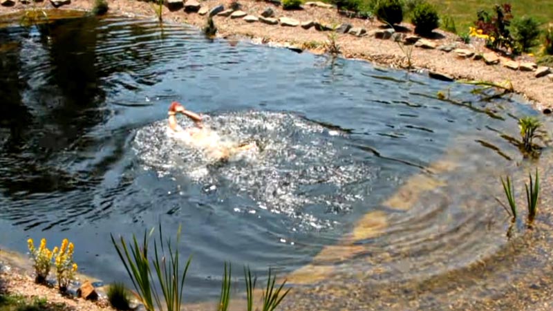 Safe to Swim in a Pond