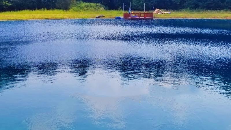 Swim in A Pond Treated with Copper Sulfate