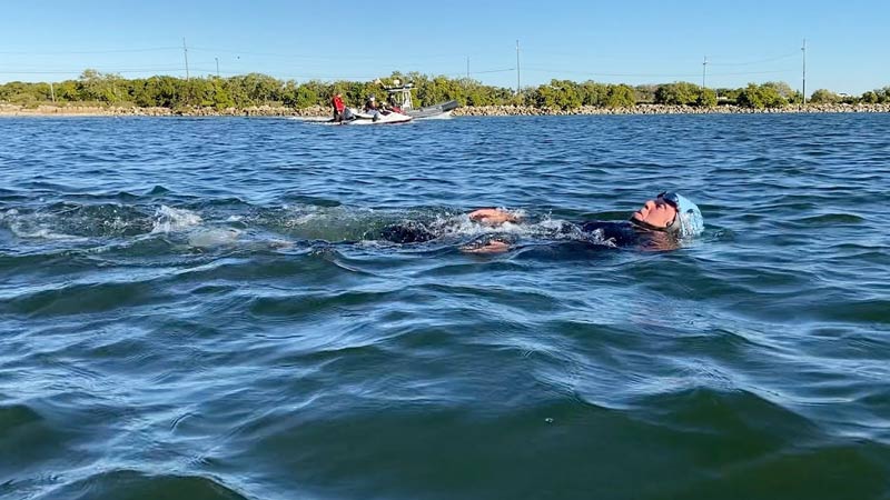Is It Safe to Swim in Tampa Bay Right Now?