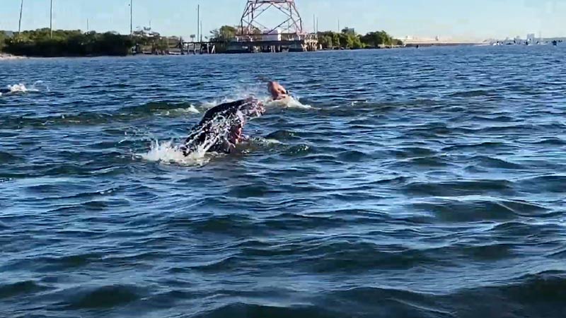 Tampa Bay Water Quality