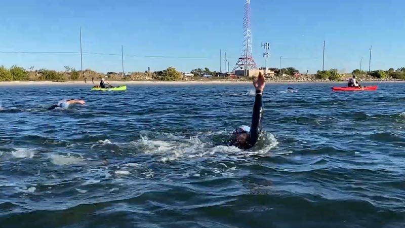Things to Consider While Swimming in Tampa Bay